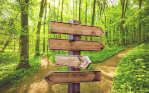 Pathfinder-first-network-blog_image-300x188